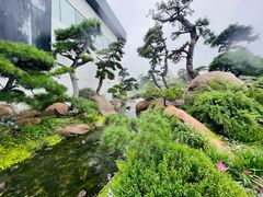 -罗红摄影艺术馆