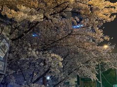-MARU玛露音乐餐厅(大学路店)