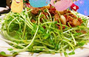 Organic Pea Shoots in Clay Pot
