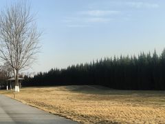 -汉长安城未央宫国家考古遗址公园