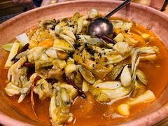 牛肝菌牛蛙霸王锅-云海肴·汽锅鸡·云南菜(天山百盛优客店)