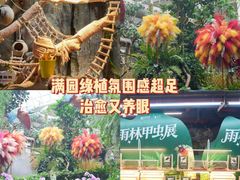 -正佳雨林生态植物园