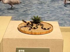 -深圳博物馆历史民俗馆