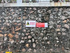 -大生体育(总店)