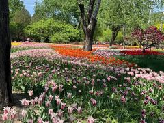 -国家植物园南园