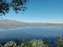 -野鸭湖国家湿地公园
