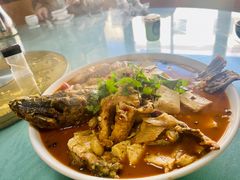 -煲来饱去冷水鱼