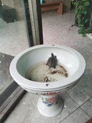 -今生有约(星湖101店)