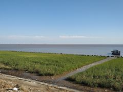 -芦潮港集贸市场