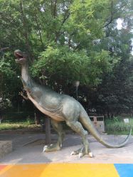 -大望京儿童游乐场