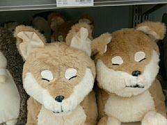 -NITORI 宜得利家居(天津泰达永旺店)
