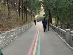 -佛慧山