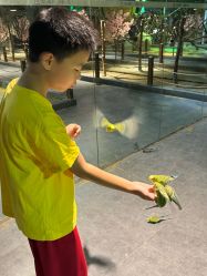 -酷嗒动物文化乐园(cutezoo西溪乐天城店)