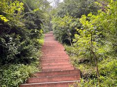 -香山公园