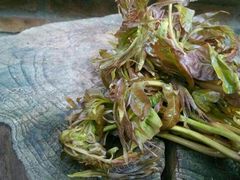 android_upload_pic-天水蔬食料理(树德之光店)