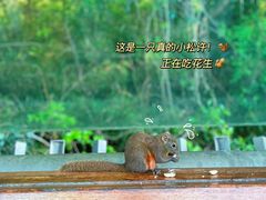 -福道