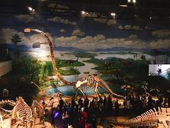 -自贡恐龙博物馆