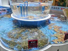 -皮记海鲜1995(寮步店)