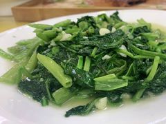 -杨正宗烤全羊(北二环店)
