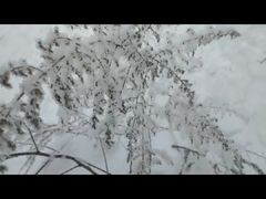 -雾凇岛