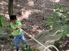 -宾果蒙特梭利托育儿童之家幼儿园(爱琴海店)