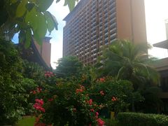 -三亚湾红树林度假世界(木棉酒店)