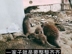-国色天乡三期陆地乐园