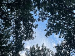 -朝阳公园