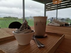 -雪绿茶博物馆
