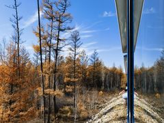 -莫尔道嘎国家森林公园