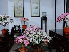 -惠山古镇·寄畅园