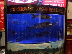 -潇湘码头·鲜湘菜(清河店)