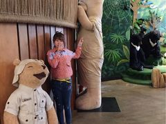 -济州岛泰迪熊博物馆