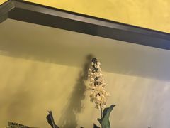 -贝勒爷·酥不腻烤鸭
