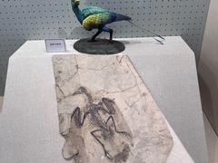 -辽宁古生物博物馆