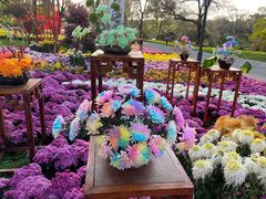 -沈阳植物园