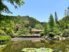-云溪植物园