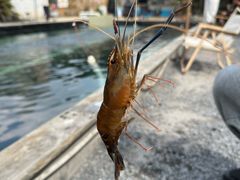 -DGE季风钓虾营地·团建·聚会