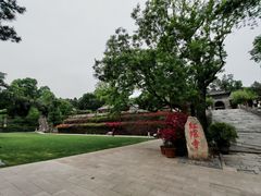 -丽泽山庄·生态怀柔菜·虹鳟鱼(红螺寺店)