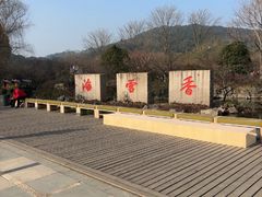 -香雪海