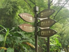 -雁南飞茶田景区