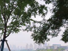 -月湖风景区
