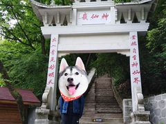 -陕西省红河谷森林公园