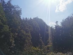 -蒋氏故居