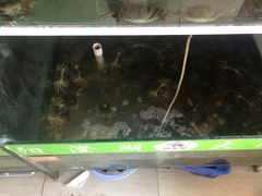 -阳澄湖大闸蟹·琼灵阁牌品牌连锁(吴中总店)