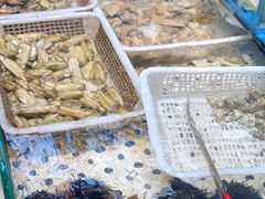 水产区-潮庭·大连海鲜·炭火烧烤·扇贝王(大连店)