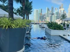 -新加坡文华东方酒店