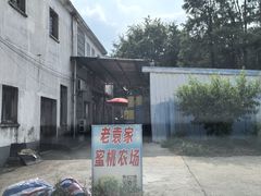 -老袁家蜜桃农场·阳山水蜜桃