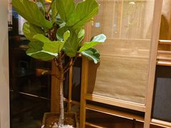 -新元素(三里屯太古里南区)