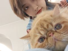 -More Fun猫咖 二十只万元加菲主题